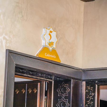 ホテル La Esperanza Alcalá del Valle エクステリア 写真